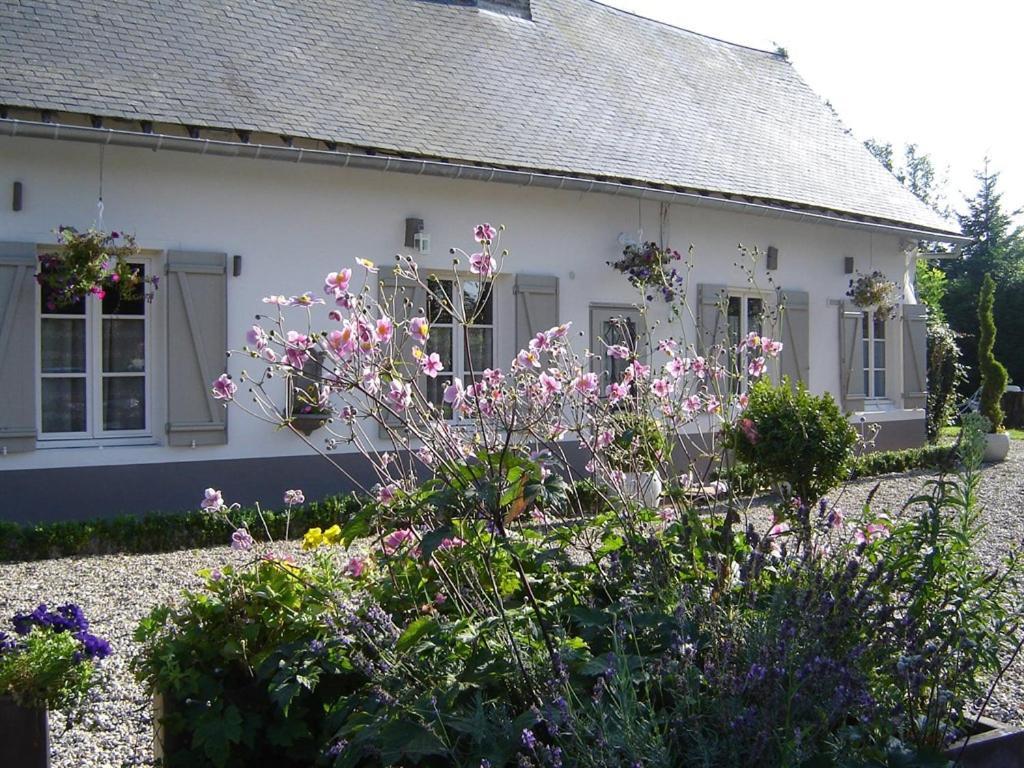 Gite Cottage d'Hamicourt aux Portes de la Baie de Somme Extérieur photo